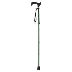 Walking stick